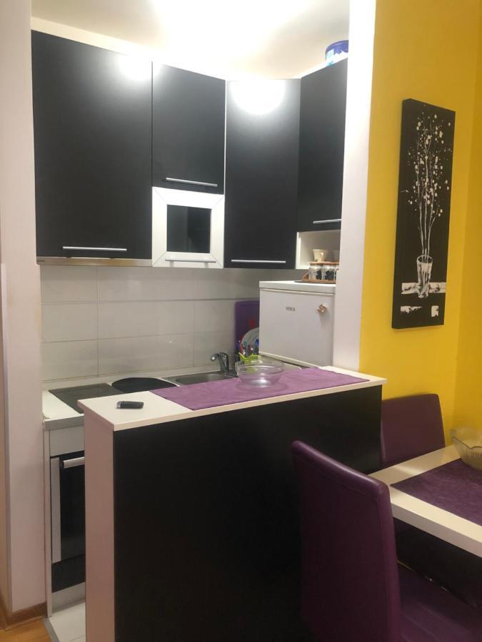 Apartman Tanjuska Ποντγορίτσα Εξωτερικό φωτογραφία